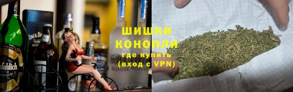ПСИЛОЦИБИНОВЫЕ ГРИБЫ Балабаново