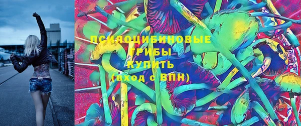 трава Сясьстрой
